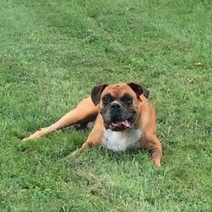 Meet your Posher, Eric